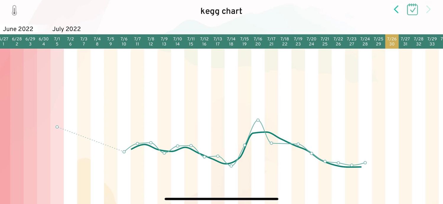 My Unexpected BFP (Big Fat Positive…pregnancy test!)