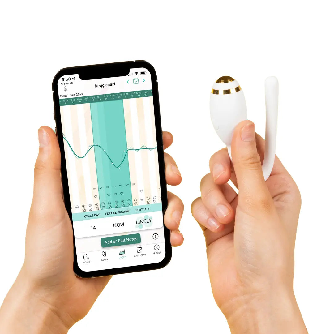 KEGG TOOLS visual data 5