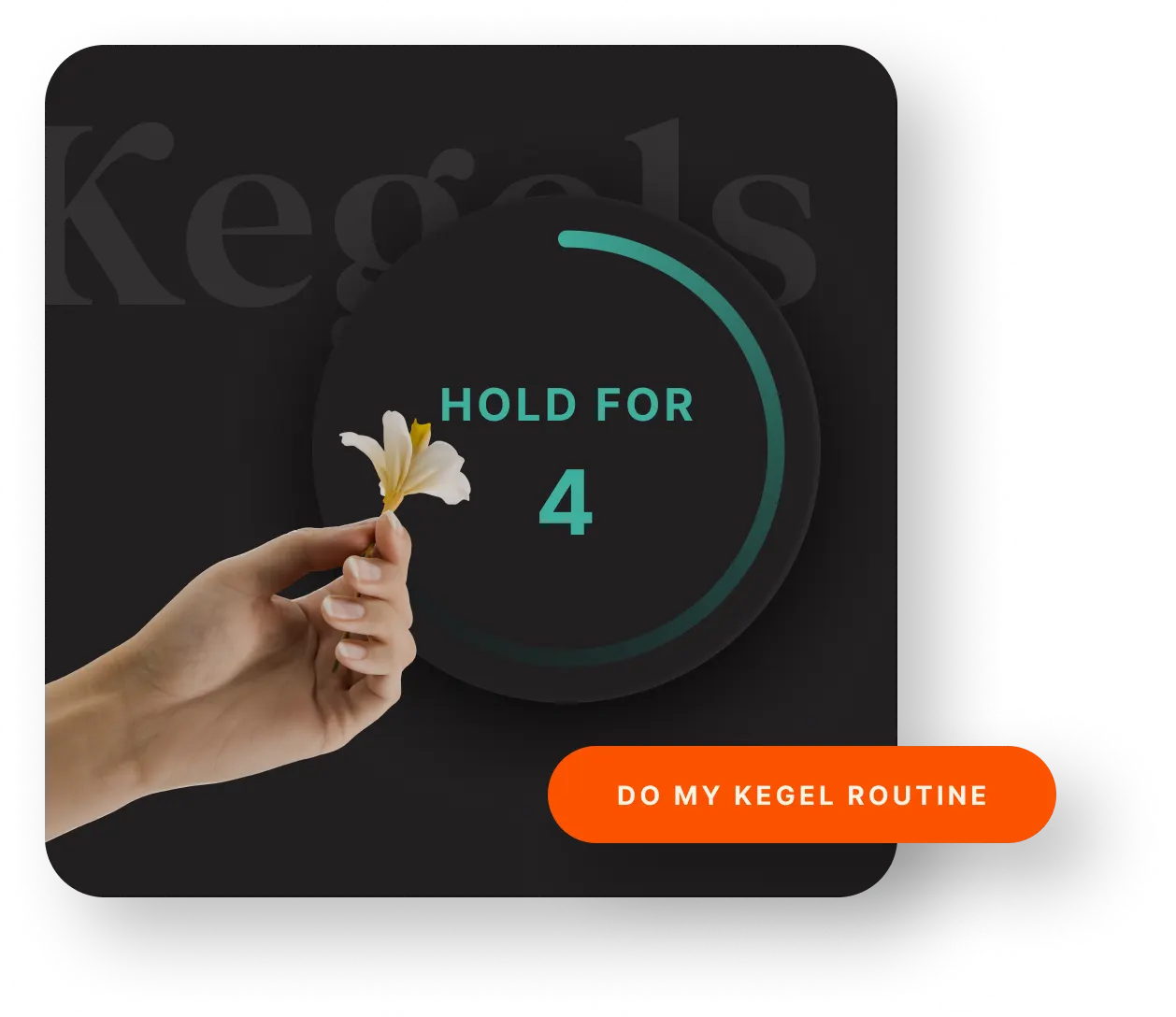 Guided Kegel Exercises