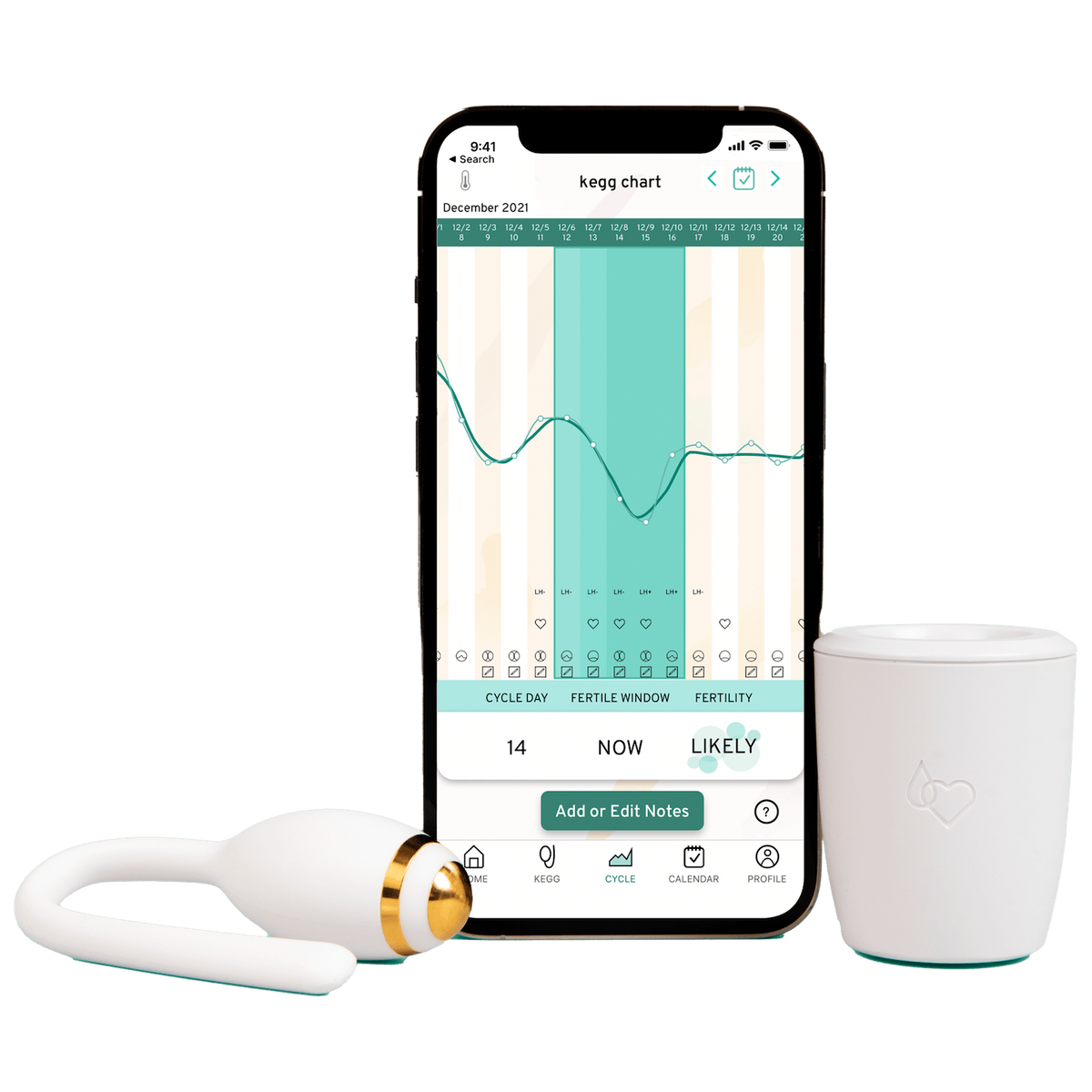 kegg fertility tracker and kegel ball