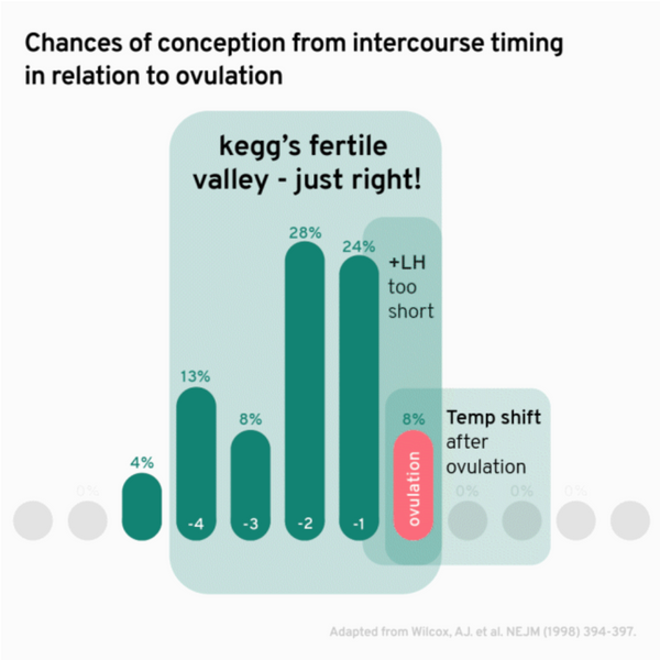 kegg fertility tracker and kegel ball